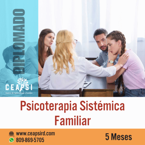 Psicoterapia Sistémica con Enfoque Breve