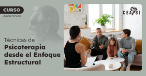 Técnicas de Psicoterapia desde el Enfoque Estructural