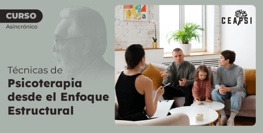 Thum post curso - Psicoterapia desde el Enfoque Estructural copia.png