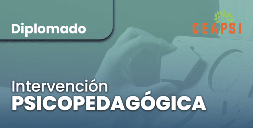 Thumbails 2025 CEAPSI - IP copia.png