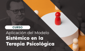 Aplicación del Modelo Sistémico en la Terapia Psicológica