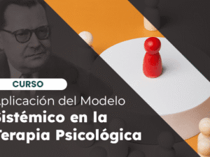 Thumbails - MODELO DE SISTEMAS - 2025 copia.png