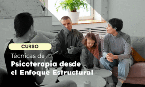 Técnicas de Psicoterapia desde el Enfoque Estructural