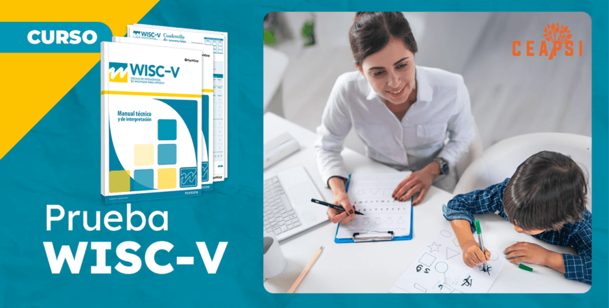 thum post curso - WISC-V copia.png