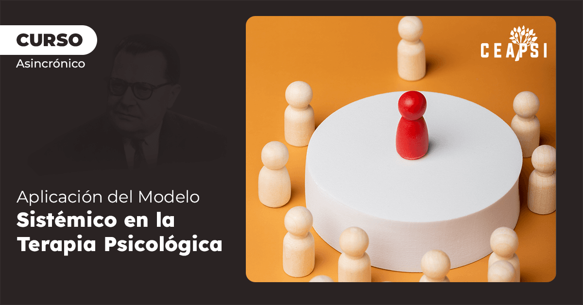 Aplicación del Modelo Sistémico en la Terapia Psicológica